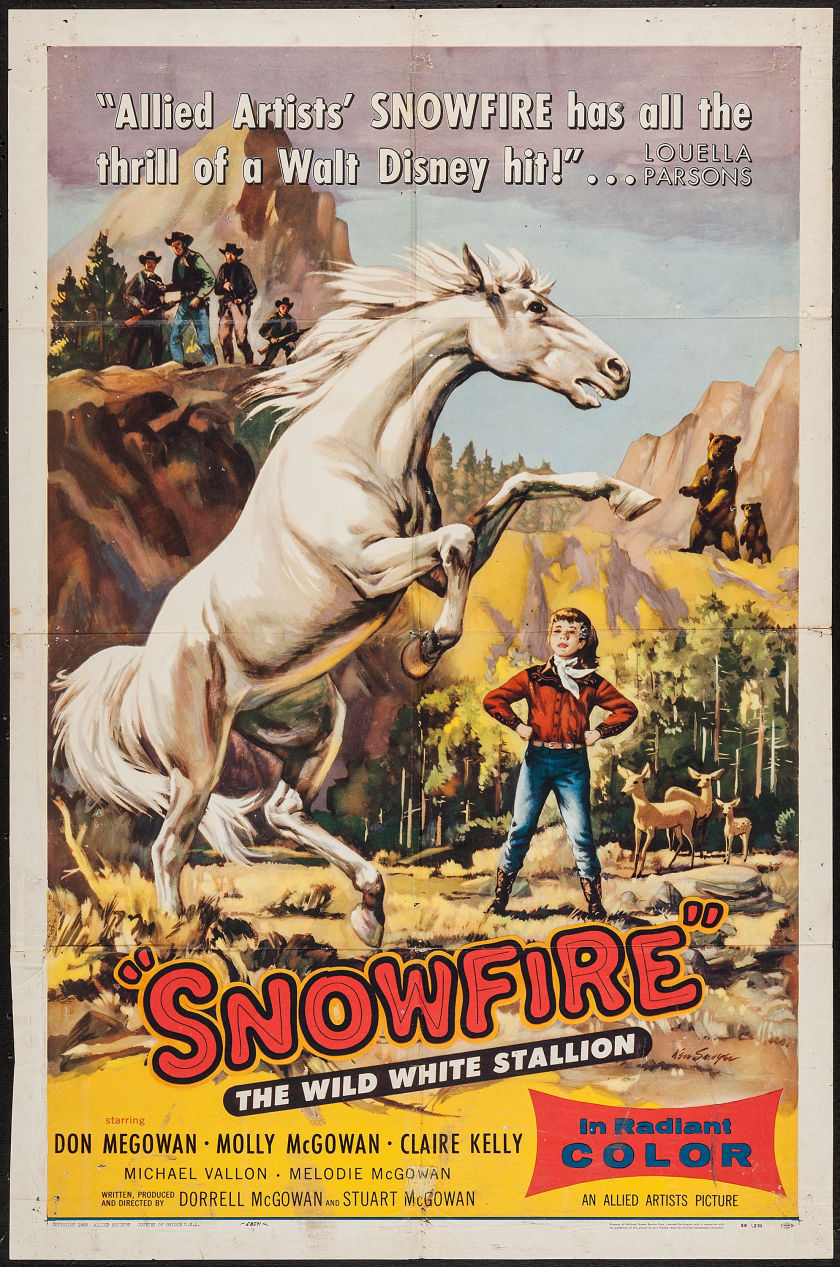 SNOWFIRE